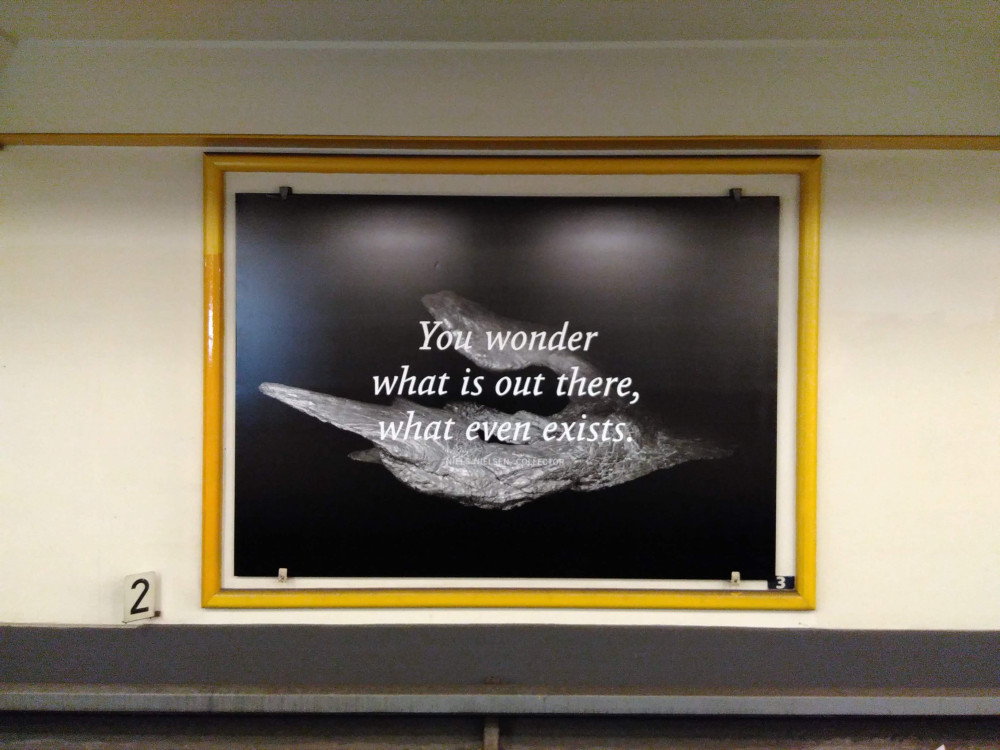 Foto eines schwarz-weißen Werbeplakats am U-Bahnhof, auf dem ein riesiges spitzes Knochenstück zu sehen ist. Darüber liegt ein weißfarbener Text: You wonder what is out there, what even exists.