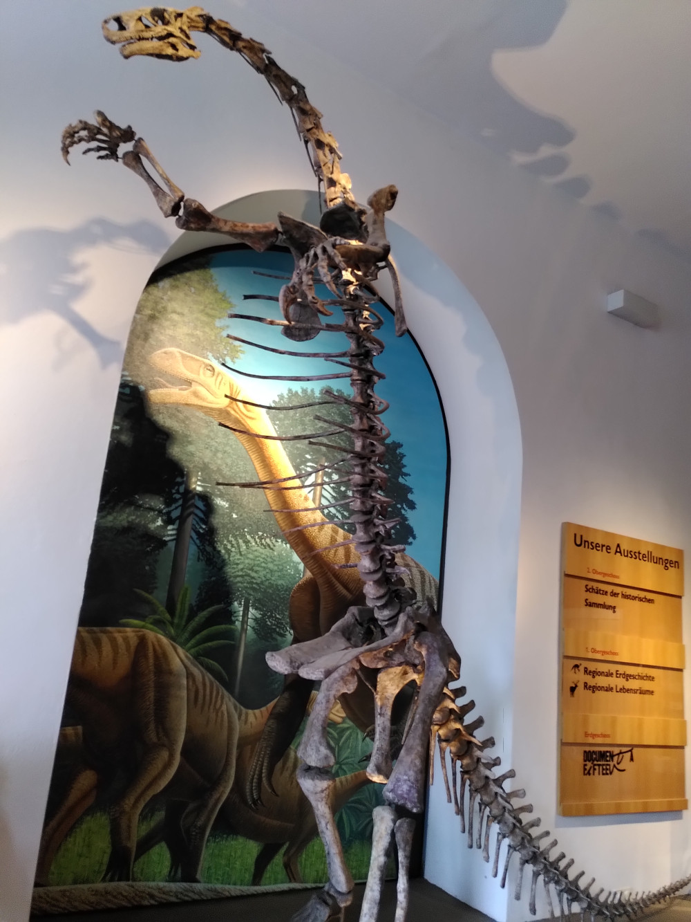 Farbfoto eines aufrecht auf zwei Beinen stehenden Dinosaurier-Skeletts vor einem Wandbild mit gemalten Sauriern.