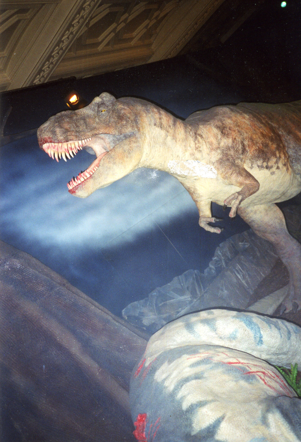 Foto eines Dioramas mit einer T-Rex aus Untersicht, der vor einem soeben erlegten Beute-Saurier steht und das blutige Maul mit spitzen Zähnen brüllend öffnet.