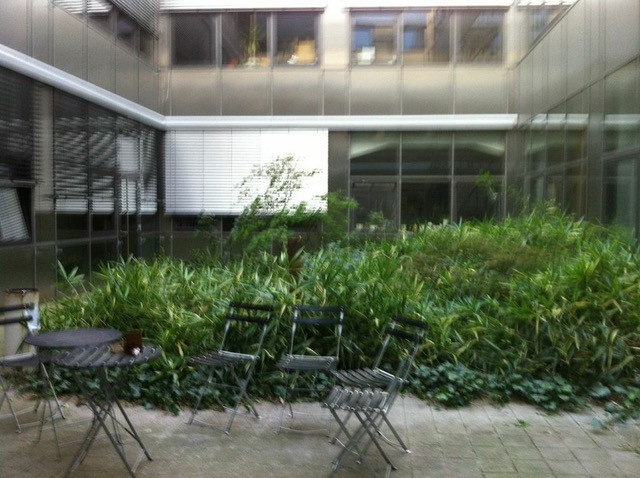 Das Bild zeigt zwei Tische und vier Stühle vor Pflanzen im Innenhof des Gebäudes der Hochschule für Bildende Künste in Braunschweig in leicht verwackelter Ansicht